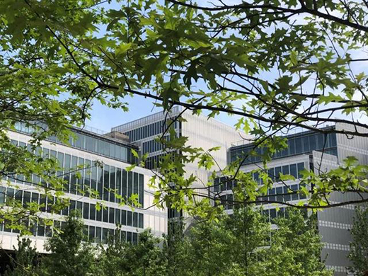 集結全球設計大師的杭州網紅建筑提前打卡!蔦屋書店也在這!